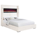 Tisdall Beds