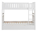 Galen Twin/Twin Bunk Bed w/ Twin Trundle in White B2053W-1*R