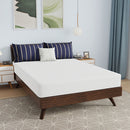 Nasturtium 8" Full Bamboo Charcoal Infused Memory Foam